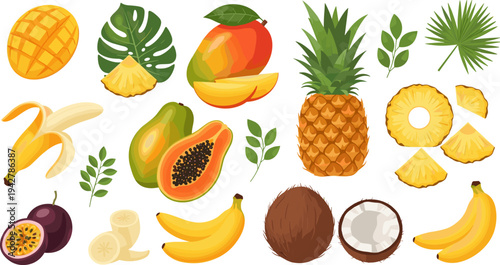 Exotic Tropical Fruit Collection with Pineapple, Mango, Banana, Papaya, Coconut, Passion Fruit, and Palm Leaves Fresh Summer Food Vector Illustration Set