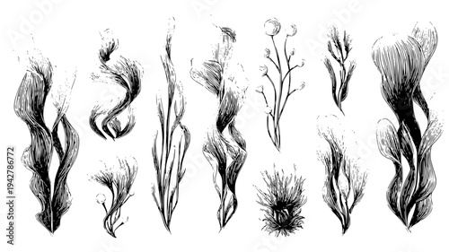 Flowing seaweed set with bubble trails and coral stems, vector art set