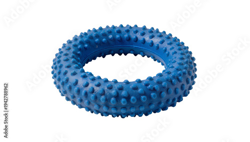 Canvas Print Isolated spiky blue dog toy for fun, pet health, exercise and canine fitness nee