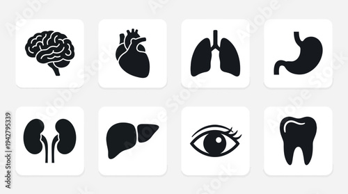 Human Anatomy Vectors Icon Set – Internal Organs Illustrations Featuring Brain, Heart, Lungs, Stomach, Kidneys, Liver, Eye, and Tooth in Bold Silhouette Style