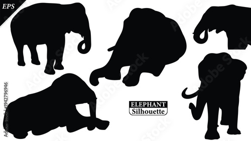 Elephant Silhouette icon. Simple vector illustration, Side view black big asian elephant silhouette vector illustration design on white and black background, Walking big elephant strong power, sign	