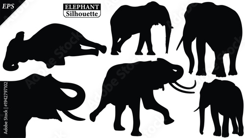 Elephant Silhouette icon. Simple vector illustration, Side view black big asian elephant silhouette vector illustration design on white and black background, Walking big elephant strong power, sign	