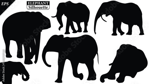 Elephant Silhouette icon. Simple vector illustration, Side view black big asian elephant silhouette vector illustration design on white and black background, Walking big elephant strong power, sign	