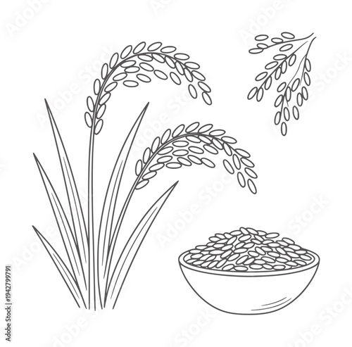 Black and white line of rice stalks and bowl of grains plant