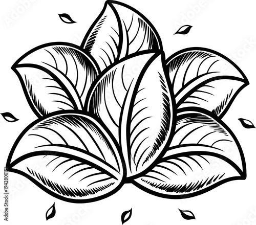 Stylized cluster of detailed leaves with veins and small falling leaves around in black and white design