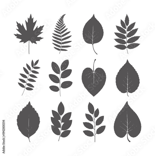 Collection of twelve dark grey leaf silhouettes white