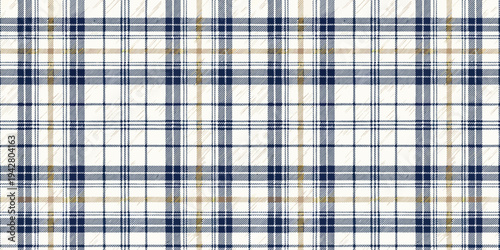 Close-up view of a blue and white checkered fabric with a slightly worn appearance Vector