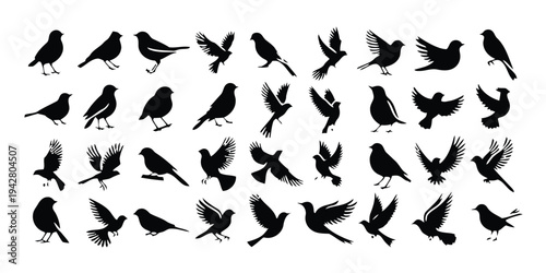 Group of diverse black bird silhouettes in various flying and perching poses isolated on white