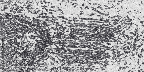 Abstract Organic Texture with Speckled Pattern in Monochrome Grayscale Featuring Interconnected Irregular Shapes and Grainy Overlay for Backgrounds