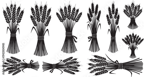 Various bundles of wheat and grains in black and white
