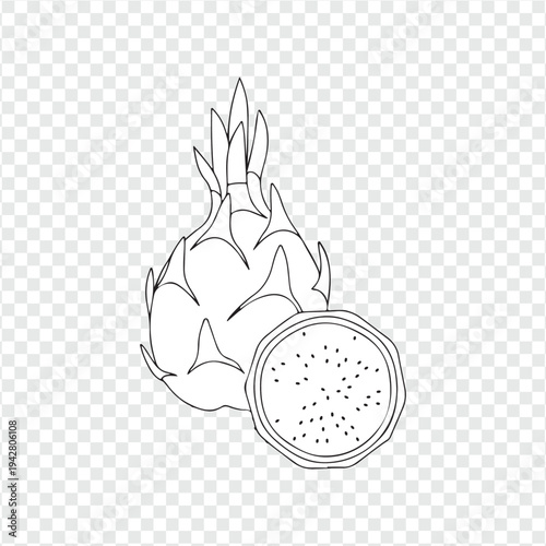 Hand drawn vector illustration of apple and colorful dragonfruit on a tropical background