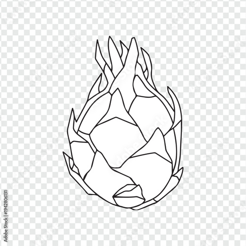 Yoga lotus pose with lotus flower and tropical dragon fruit illustration on white background