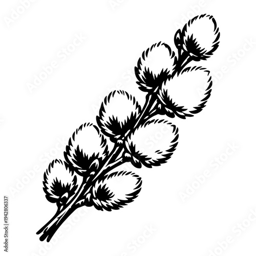 Pussy willow branch with catkins for spring season and Palm Sunday in thick black line art style