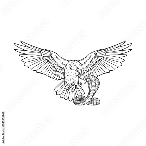 Elegant illustration of an eagle fighting a snake with outstretched wings.