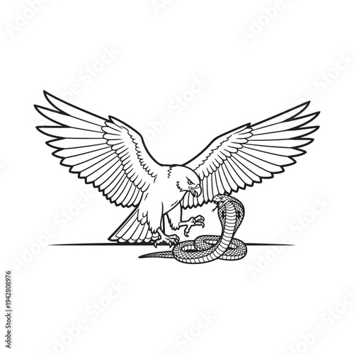 An illustration of an eagle with outstretched wings fighting a snake on the ground.