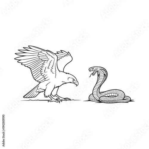 An illustration of an eagle confronting a snake with its wings spread.