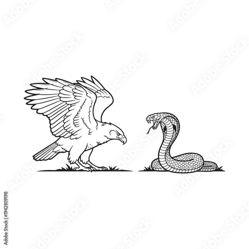 Eagle confronts a snake in a dramatic black and white illustration.