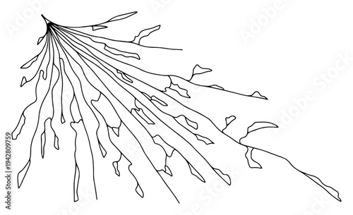 Abstract explosion or energy splash lines, minimalist vector line art, dynamic motion or light rays burst concept