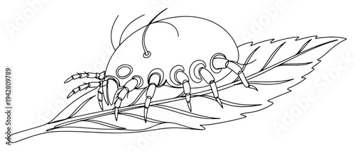 Dust mite or microscopic insect on a leaf, continuous one line drawing vector, allergy and pest control concept, tiny bug parasite