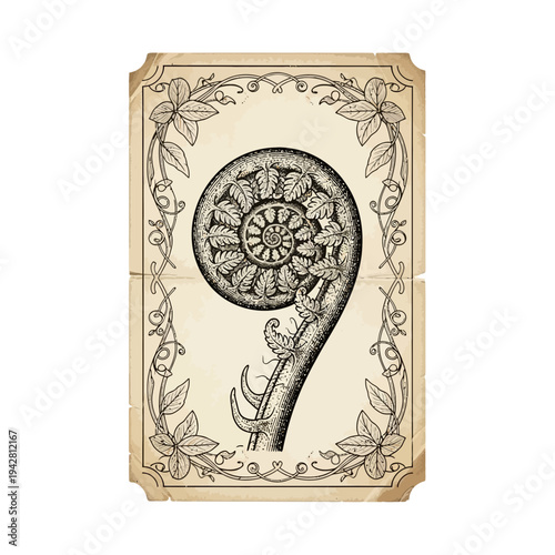 Vintage Fern Frond Number 9 Illustration