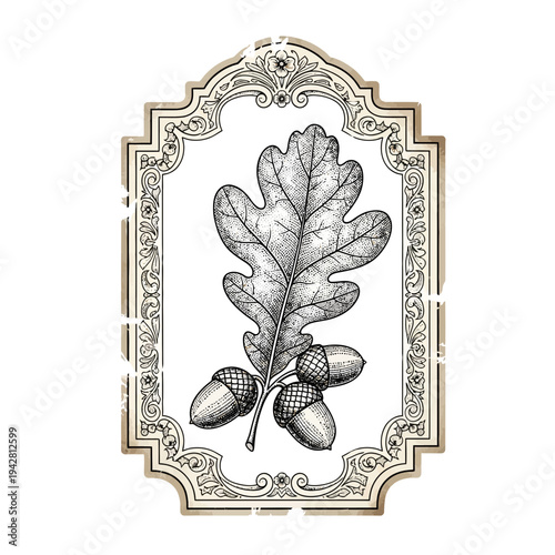 Vintage Oak Leaf and Acorns Illustration in Decorative Frame
