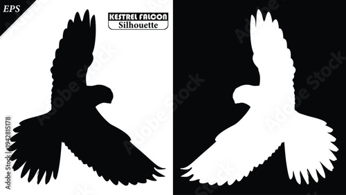 Black silhouette of Kestrel Falcon isolated on black and white background, Beautiful Kestrel Falcon vector design, Falcon, falcons silhouette vector illustration, bird icon vector illustration