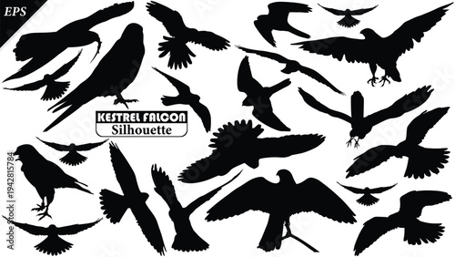 Black silhouette of Kestrel Falcon isolated on white background, Beautiful Kestrel Falcon vector design, Falcon, falcons silhouette vector illustration, vector bird Silhouette icon vector illustration