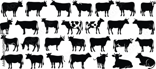Set of black cow silhouettes collection standing in different poses and angles