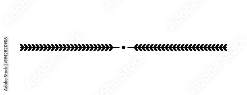 Leaf ornamental divider line. Nature branch separator design. Decorative botanical border element. Minimal floral flourish divider