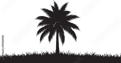 black silhouette of a palm tree.