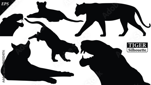 Black silhouette of tiger isolated on white background, Beautiful tiger vector design, standing tigers, tigers silhouette vector illustration, vector. Black Camel Silhouette vector illustration