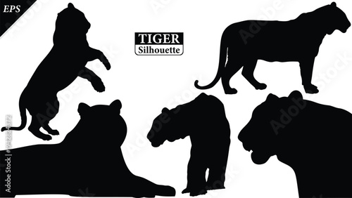 Black silhouette of tiger isolated on white background, Beautiful tiger vector design, standing tigers, tigers silhouette vector illustration, vector. Black Camel Silhouette vector illustration