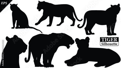 Black silhouette of tiger isolated on white background, Beautiful tiger vector design, standing tigers, tigers silhouette vector illustration, vector. Black Camel Silhouette vector illustration