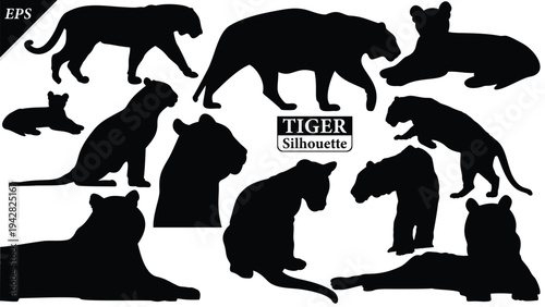 Black silhouette of tiger isolated on white background, Beautiful tiger vector design, standing tigers, tigers silhouette vector illustration, vector. Black Camel Silhouette vector illustration