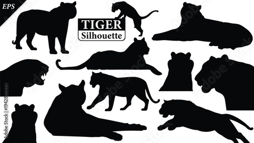 Black silhouette of tiger isolated on white background, Beautiful tiger vector design, standing tigers, tigers silhouette vector illustration, vector. Black Camel Silhouette vector illustration