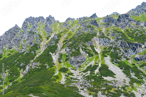 Obraz na plátne Rocky mountain slope with scree and alpine vegetation
