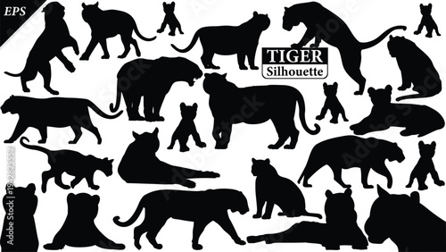 Black silhouette of tiger isolated on white background, Beautiful tiger vector design, standing tigers, tigers silhouette vector illustration, vector. Black Camel Silhouette vector illustration