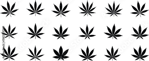 Collection of cannabis leaf silhouettes set isolated on white background, marijuana leaves icons bundle for botanical hemp and cannabis design projects