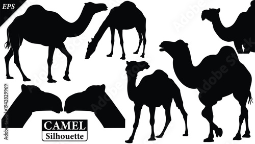 Black silhouette of camel isolated on white background, set of camel vector design, standing camels, camels silhouette vector illustration, camel vector. Black Camel Silhouette vector illustration