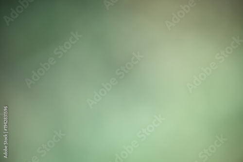 Soft textures blend in a serene green ambiance at twilight