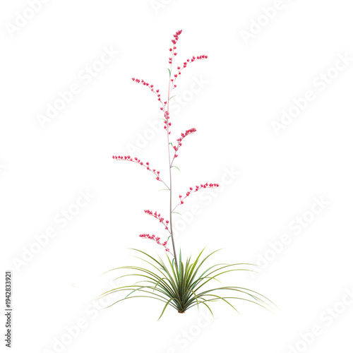 collection of Red yucca tree with realistic style