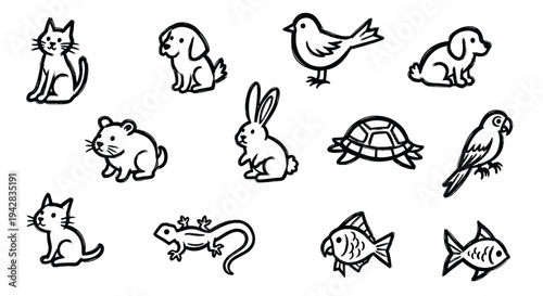 Cute cartoon pets and animals collection simple line drawings