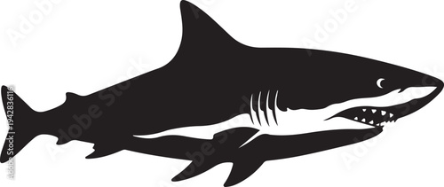white background shark attack black silhouette vector