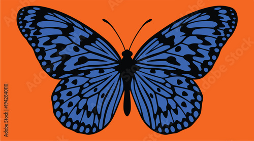 Vibrant Blue Butterfly with Intricate Patterns on Orange Background 1.