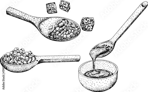 Vector engraving illustration of fresh cut sugarcane pieces, juicy sugar cane stalks slices showing fibrous sweet interior, tropical street food snack, natural raw cane sugar, exotic refreshment