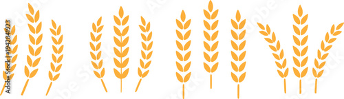 Golden Wheat Ear Icons Set Vector Illustration – Agriculture Grain Wheat Spike Collection Isolated on White Background