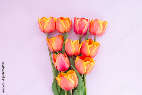 Vibrant tulip bouquet on light pink background