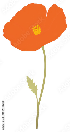 PNG California poppy flower illustration simple plant.