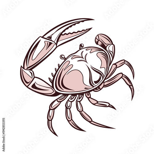 Vector pink crab illustration