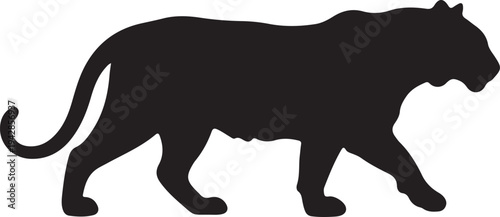 Leopard silhouette on white background.